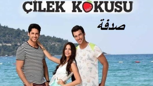 مسلسل صدفة الحلقة 34 مدبلجة للعربية